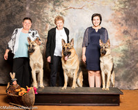 German Shepherd Dog Laurie Telfair