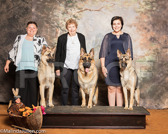 German Shepherd Dog Laurie TelfairSSR_1406-Mj-HR3