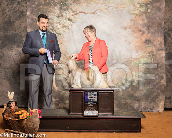 Lhasa Apso #10 SAT NCh Junkins Ronny Clay Williams Judge Joao MachadoSSR_1457-Mj-HR3