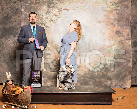 Miniature American Shepherd #12 Sun WB Maj Raduziner Karen Judge Joao MachadoSSR_1468-Mj-HR3
