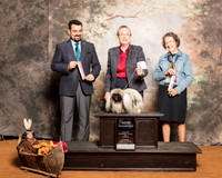 Pekingese #7 Sun NC BOB Skinner Colleen Roma Skinner Judge Joao Machado