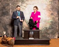 Poodle Toy #15 Sun BOB Lupardis Keith Barbara Judge Joao Machado