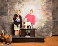 Pug #5 Sun BOB Smith Janet Judge Sandra London