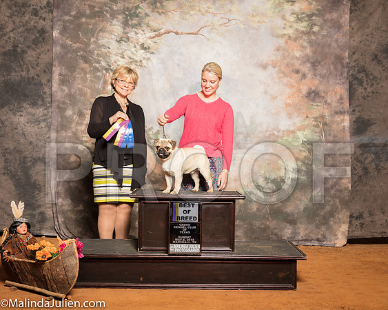 Pug #5 Sun BOB Smith Janet Judge Sandra LondonSSR_1423-Mj-HR3