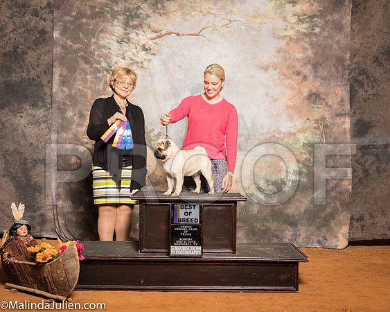 Pug #5 Sun BOB Smith Janet Judge Sandra LondonSSR_1424-Mj-HR3