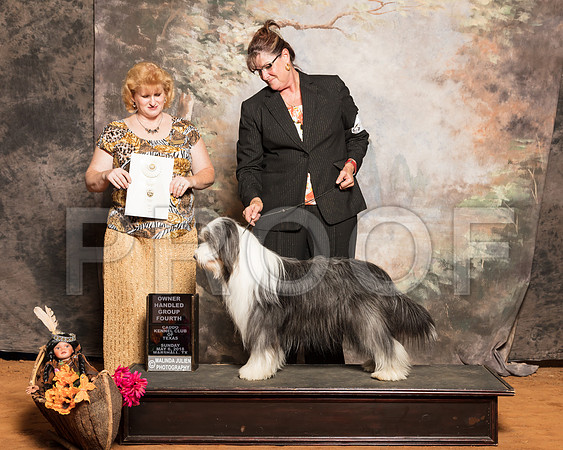 Tibetan Terrier #6 Sun OHG4 Carroll Shirley Judge Beatty Nelson PollockSSR_1637-Mj-HR3