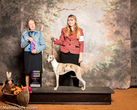 Whippet #20 Sun WB Granville Rachael Nickie Judge Patricia Taylor
