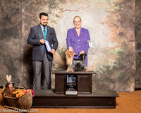 Yorkshire Terrier #21 Sun BOW Maj NCh Amies Natalie Judge Joao Machado