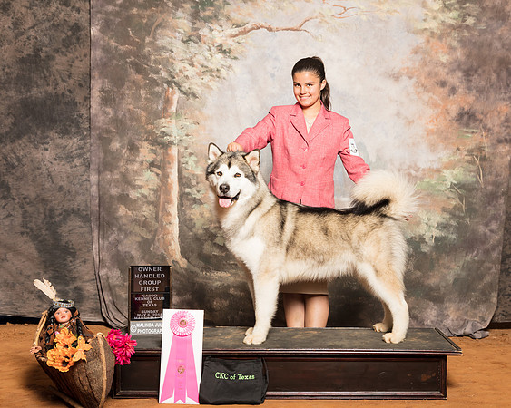 Alaskan Malamute #11 Sun OHG1 Shireman SSR_1668-Mj-HR3