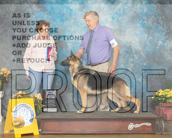 German Shepherd Dog #18 Sat BOSWB Judge Laurie Telfair-MMJ_0319-NWARK2022-HR3