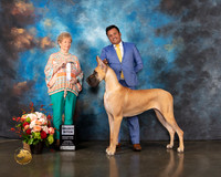 Great Dane #54 Thurs SB Judge Sherry Webster