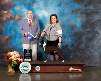 Italian Greyhound #33 Thurs BOW Major Judge Raymond Filburn