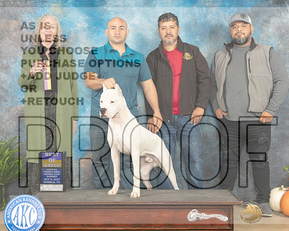 Dogo Argentino #5 Sat BOB Kimberly Meredith-_JP_7021e_Humble2023-HR3