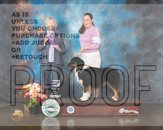 Australian Shepherd #43 WD Judge Sharon Newcomb-MMJ_0373-HOUSTON21-HR3