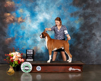 Boxer #11 Thurs SD Judge Steve Keating