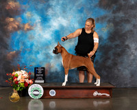 Boxer #32 Thurs WB NCH Major Judge Steve Keating