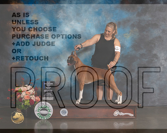 Boxer #32 Thurs WB NCH Major Judge Steve Keating-MMJ_0309-HOUSTON21-HR3
