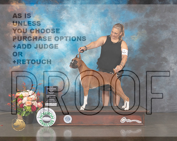 Boxer #32 Thurs WB NCH Major Judge Steve Keating-MMJ_0311-HOUSTON21-HR3