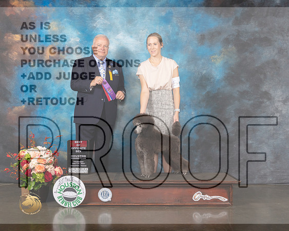 Miniature Poodle #5 Thurs WD BOS Judge Dennis Mccoy-MMJ_0333-HOUSTON21-HR3