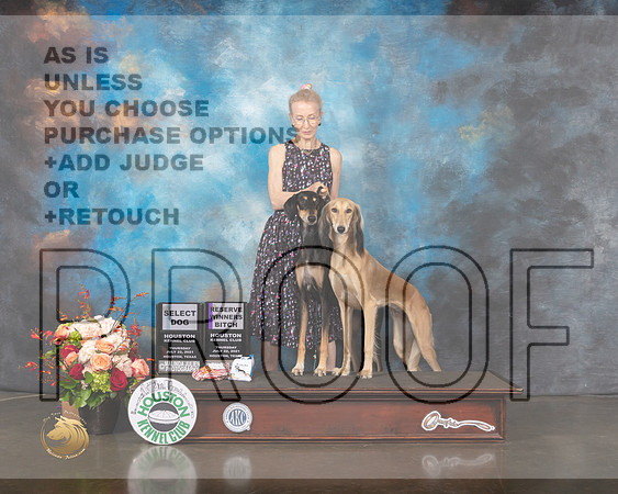 Saluki #20 #15 Thurs RWB SD Judge Linda Scanlon-MMJ_0337-HOUSTON21-HR3