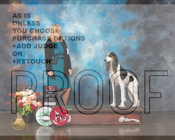 Saluki #20 #15 Thurs RWB SD Judge Linda Scanlon-MMJ_0343-HOUSTON21-HR3