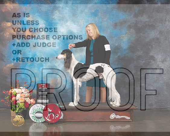 Saluki #33 Thurs BOS Judge Linda Scanlon-MMJ_0346-HOUSTON21-HR3
