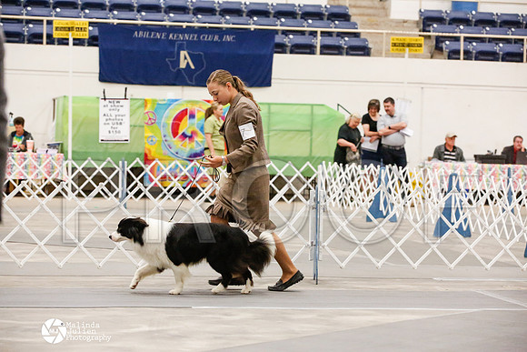 _JJ_8965-AblnMay2014-web