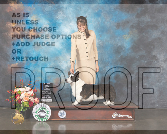 Cardigan Welsh Corgi #7 Thurs WD BOW Major Judge Steve Keating-MMJ_0405-HOUSTON21-HR3