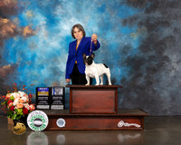 French Bulldog #6 Thurs WB BOW BOB Judge Randy Garren