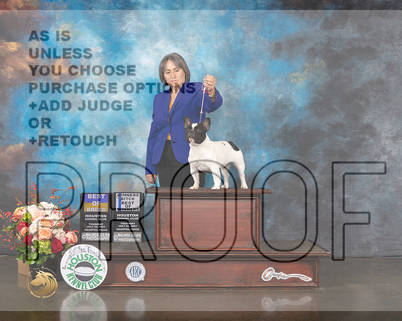French Bulldog #6 Thurs WB BOW BOB Judge Randy Garren-MMJ_0419-HOUSTON21-HR3