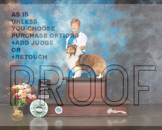 Shetland Sheepdog #19 Thurs WD BW Judge Steve Keating-MMJ_0435-HOUSTON21-HR3