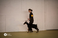 Doberman Pinscher Sun Ring S1