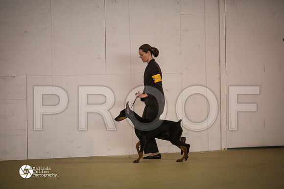 Dobe-7436-HtoJan14-HR