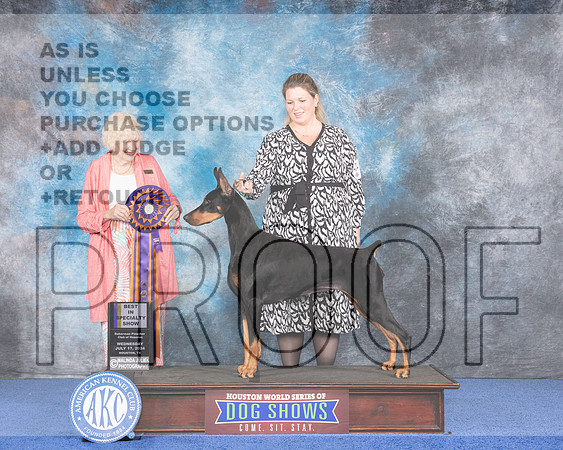 Doberman #46 Wed BISS Judge N Liebes-_JP_7415e_Houston_2024-HR3