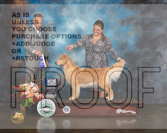 Golden #54 Thurs WB BOW Major Judge David Haddock-MMJ_0474-HOUSTON21-HR3