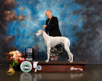 Saluki #21 Thurs RWD Major Judge Linda Scanlon