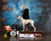 Saluki #26 Thurs WD BOW Major Judge Linda Scanlon
