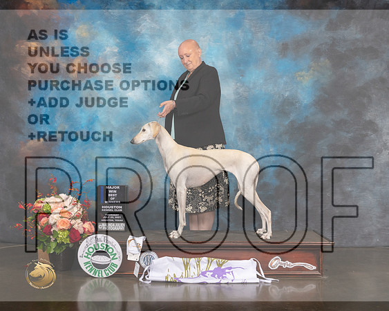 Saluki #26 Thurs WD BOW Major Judge Linda Scanlon-MMJ_0495-HOUSTON21-HR3