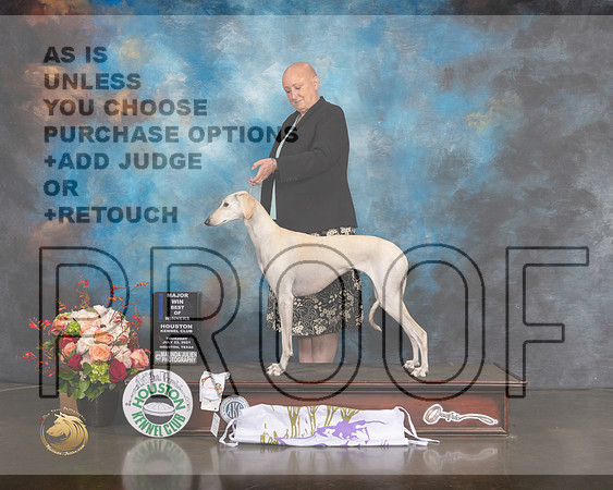 Saluki #26 Thurs WD BOW Major Judge Linda Scanlon-MMJ_0497-HOUSTON21-HR3