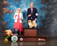Tibetan Spaniel #18 Thurs WB Major Judge Molly Martin