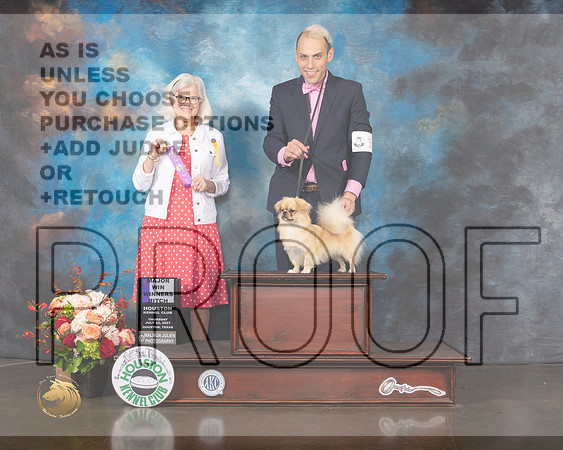 Tibetan Spaniel #18 Thurs WB Major Judge Molly Martin-MMJ_0455-HOUSTON21-HR3