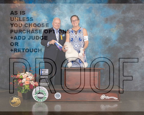 Toy Poodle #6 Thurs BOW Major Judge Dennis Mccoy-MMJ_0501-HOUSTON21-HR3