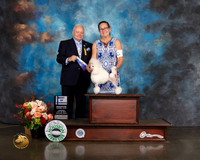 Toy Poodle #6 Thurs BOW Major Judge Dennis Mccoy