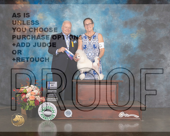 Toy Poodle #6 Thurs BOW Major Judge Dennis Mccoy-MMJ_0500-HOUSTON21-HR3