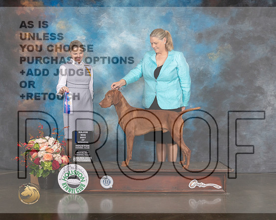 Vizsla #5 Thurs WD BOW Major Judge Evalyn Gregory-MMJ_0482-HOUSTON21-HR3