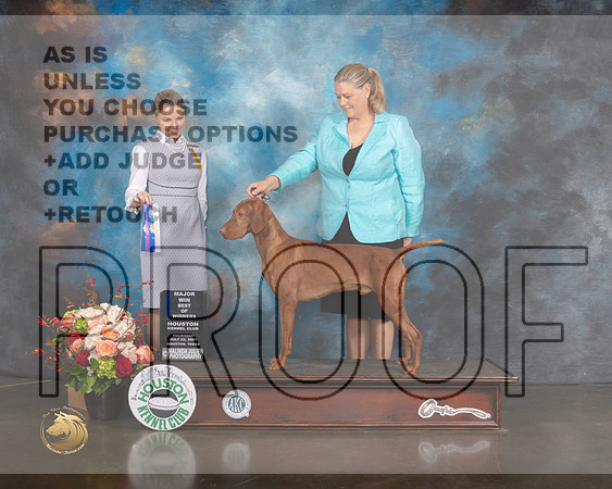 Vizsla #5 Thurs WD BOW Major Judge Evalyn Gregory-MMJ_0484-HOUSTON21-HR3