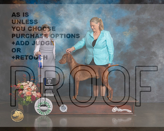 Vizsla #5 Thurs WD BOW Major Judge Evalyn Gregory-MMJ_0486-HOUSTON21-HR3