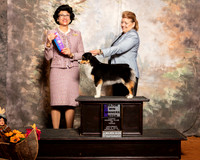 Miniature American Shepherd #10 Sat WB Maj Raduziner Karen Judge Linda Clark