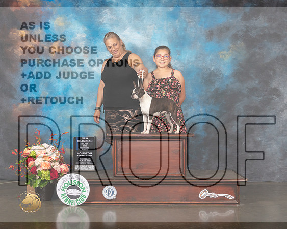 Boston Terrier #30 Thurs WB NCH Major Judge Molly Martin-MMJ_0533-HOUSTON21-HR3