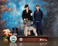 Pumik #10 Thurs BOW Major Judge Steve Keating